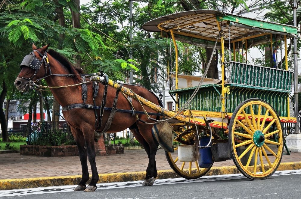 Dokar Tour Borobudur: A Traditional Way to Explore Central Java