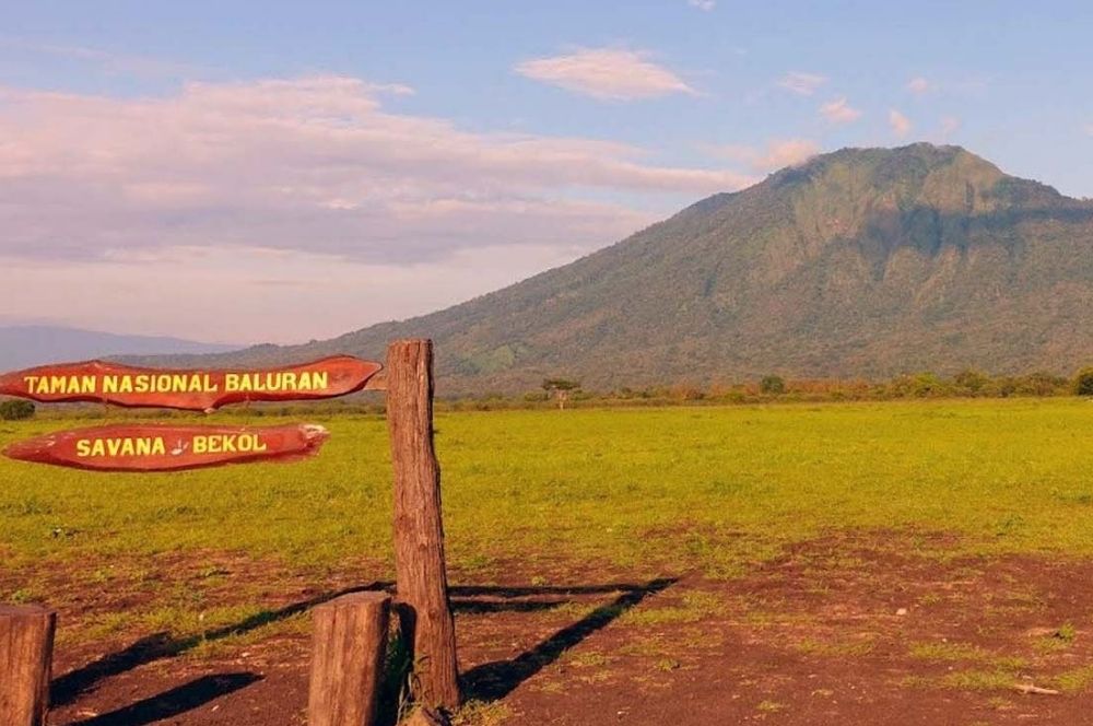 Taman Nasional Baluran: The African Savanna of Indonesia