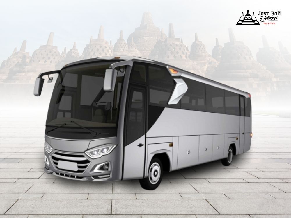 BUS MEDIUM